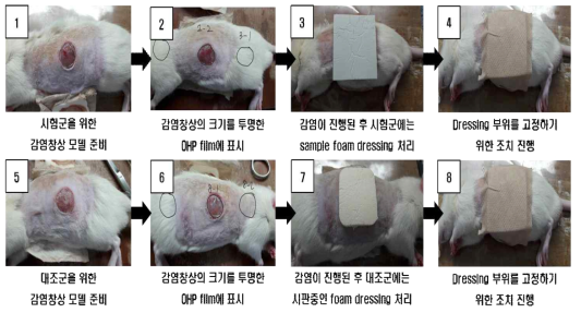 Protocol for evaluation of anti-bacterial PU foam dressing