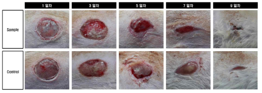 Wound area change of anti-bacterial PU foam dressing for 9 days (Sample: anti-bacterial PU foam dressing; Control: commercial PU foam dressing)