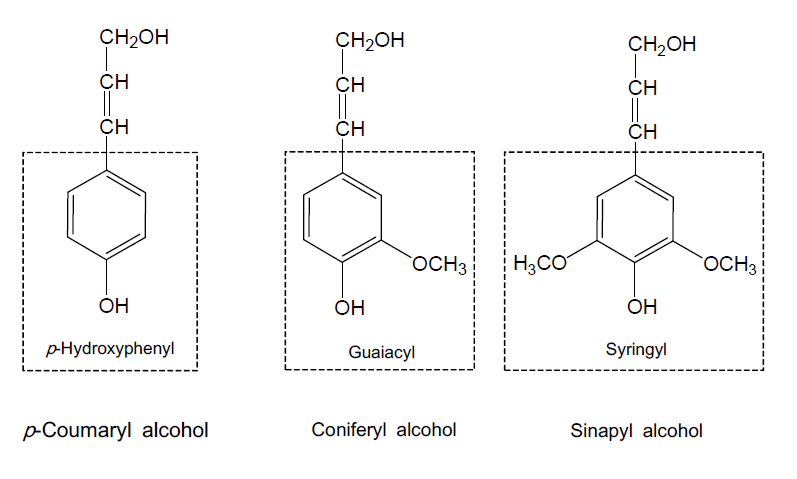 The major chemical components constituting of lignin