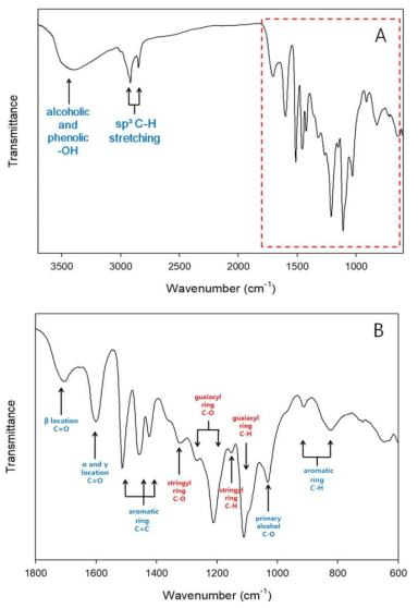 ATR-FTIR absorption spectra (A) measured with the extracted lignin and the absorption spectra (B) between 1800 cm-1 and 600 cm-1