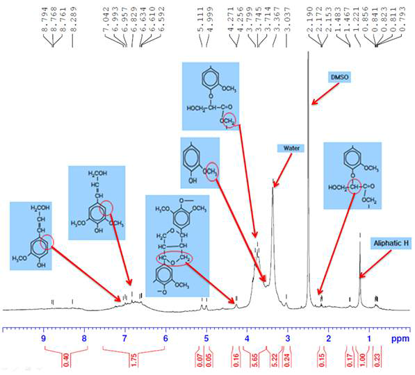 1H-NMR spectra measured with the extracted lignin