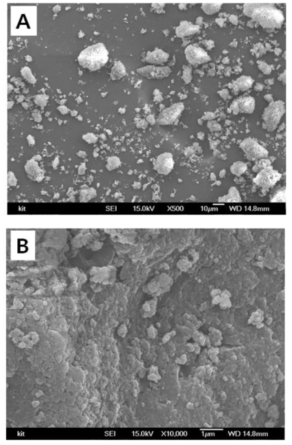 SEM micrographs observed with the extracted lignin(A: x500; B: x10,000)