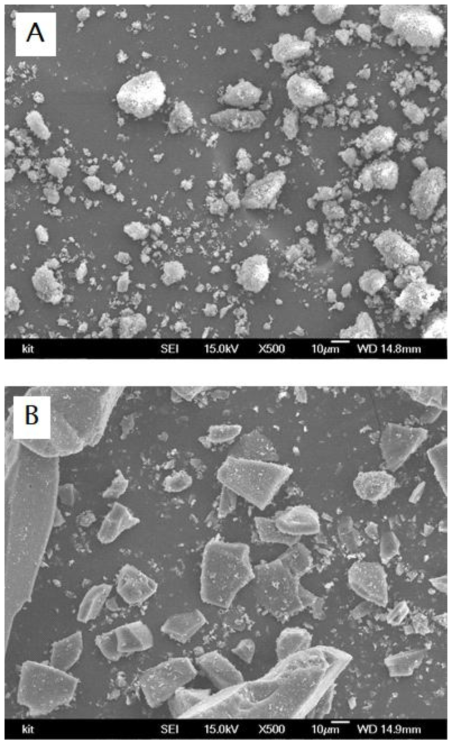 SEM micrographs observed with (A) extracted lignin and (B) carbonized lignin