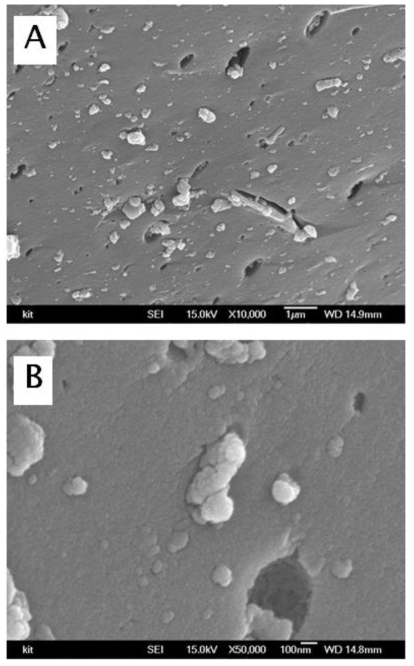 SEM micrographs observed with lignin-based activated carbon(Lignin-CA) (A: x10,000; B: x50,000)