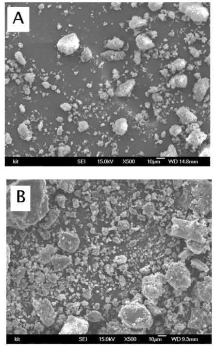 SEM micrographs observed with (A) extracted lignin and (B) lignin irradiated at 500 kGy (x500)