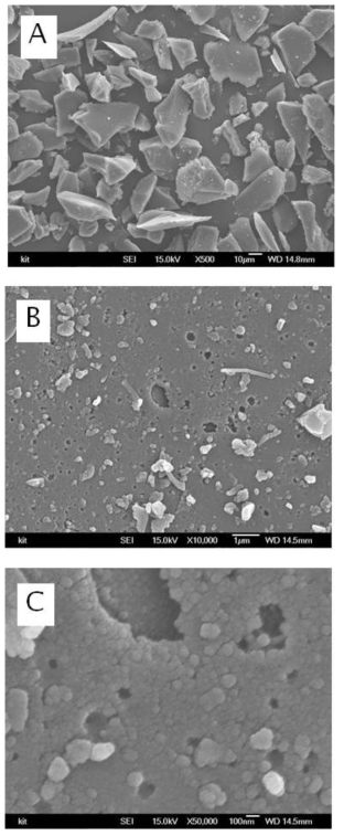 SEM micrographs observed with lignin irradiated at 500 kGy (A: x500, B: x10,000; C: x50,000)