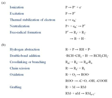 Radiation chemistry of polymers: (a) primary processes, (b) secondary reactions (P: polymer, R: radical, M: monomer)