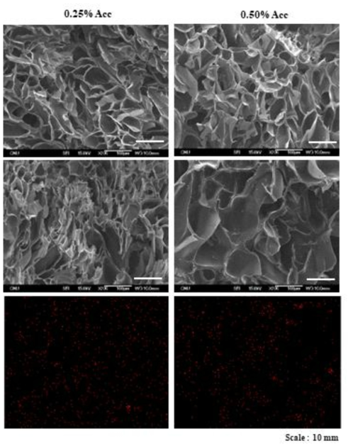 Morphology of Acc-Ag composite containing CMC hydrogel with various Acc-Ag concentration