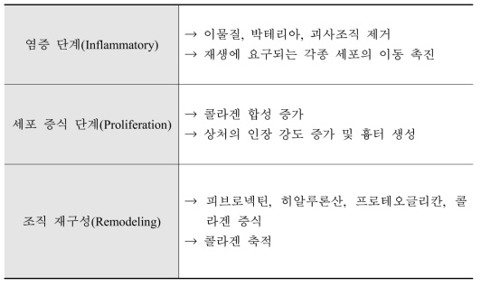 Characteristics of wound healing phase