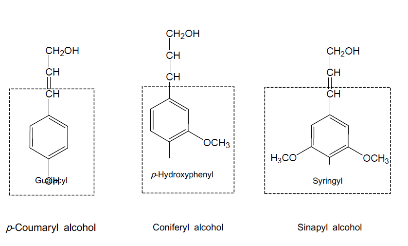 The major chemical components constituting of lignin