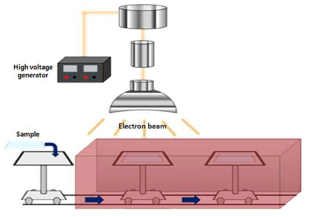 Schematic of electron beam process used in the present work