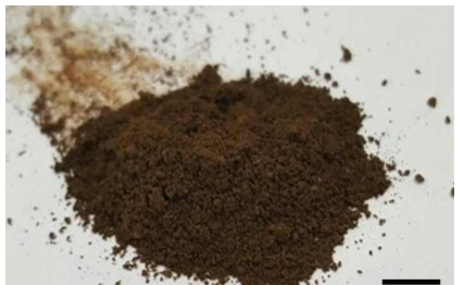 Image of the extracted lignin