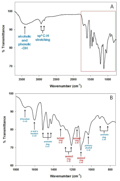 ATR-FTIR absorption spectra (A) measure wite the extracted lignin and the absorption spectra (B) between 1800 cm-1 and 700 cm-1