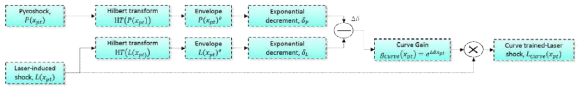 Time domain waveform training process