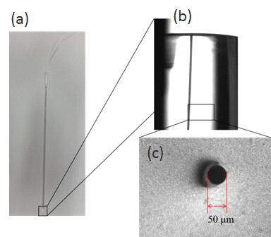 제작한 마이크로 전극 사진 (a) 전체모습, (b) quartz로 밀봉된 텅스텐 와이어, (c) quartz 표면에 노출된 텅스텐 전극 단면
