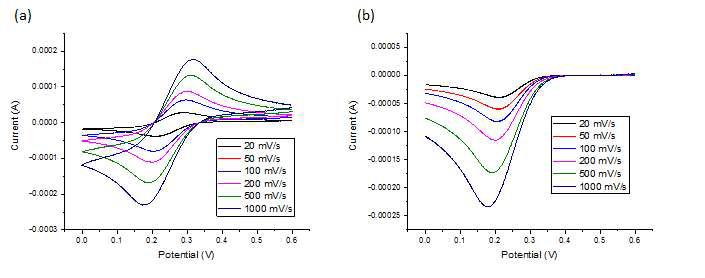 (a) 지름 3 mm GC 전극을 이용한 5 mM K3Fe(CN)6의 순환 전압전류 곡선과 (b) 충전전류를 보정한 환원 봉우리 전류의 곡선