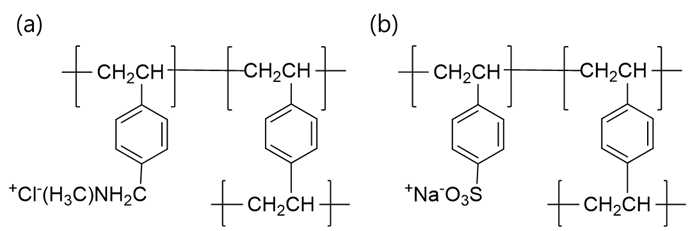 (a) 음이온교환수지와 (b) 양이온교환수지의 화학 구조식