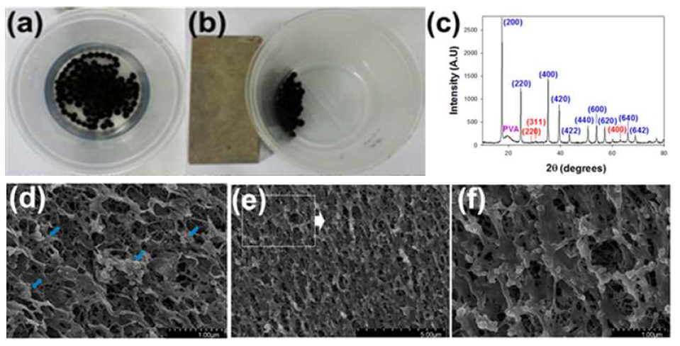 (a) 제조된 PB-MHBs의 사진, (b) 외부 자석에 의해 끌려오는 PB-MHBs (c) PB-MHBs의 XRD (d),(e),(f) PB-MHBs의 SEM 이미지