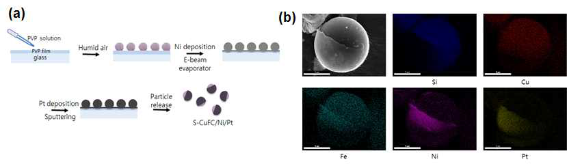 Pt 및 Ni가 증착된 S-CuFC 야누스입자 제조 및 입자의 전자현미경사진