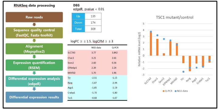 RNA-seq 분석과 Quantitative RT PCR 결과