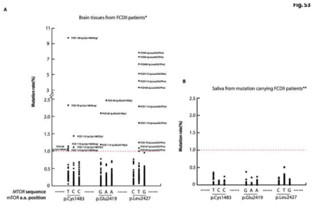 FCD 환자 76명에 대한 추가 분석 결과 뇌 병변 특이적으로 1% 이상의 비율로 mTOR C1483, E2419, L2427 site에 somatic missense mutation이 있는 환자를 10명 더 발굴함. 뇌 병변 특이적 유전변이가 존재하는 환자들의 saliva sample에서는 somatic mutation이 관찰 되지 않음