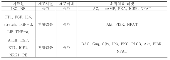 대규모 컴퓨터 시뮬레이션 분석에 기반한 심근세포 자극원 별 최적 심부전 치료전략 제안