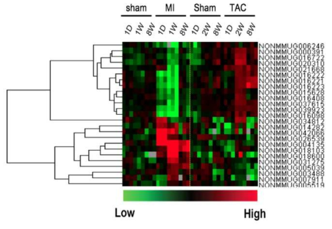 두가지 타입의 심부전 이행과정에서 정반대 발현변화를 보이는 25종의 lncRNAs