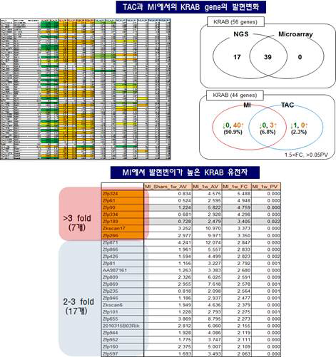 TAC과 MI 모델 NGS data를 이용한 KRAB 유전자들의 발현 변이 분석