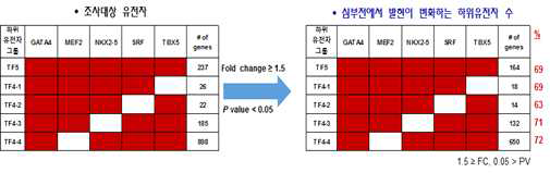 TAC과 MI 모델에서 심장 핵심인자-하위유전자들의 발현변이 분석결과 종합