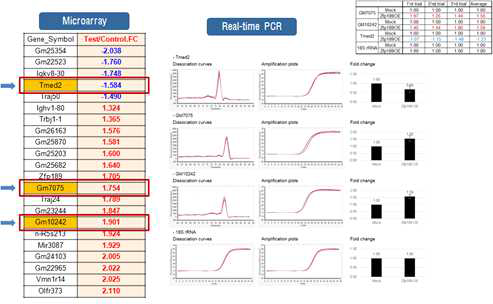 Zfp189 하위유전자들의 real-time PCR을 통한 검증. 분석이 가능한 3종의 유전자들에 대한 결과