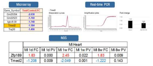 심부전 - 전사인자 Zfp189 - 하위유전자 Tmed2 연관성