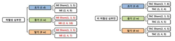 허혈성 및 비허혈성 단계별 시료 리스트