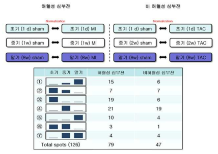 전체단백체 분석을 통한 발현 변화 단백질 동정 개수 정리