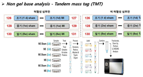 Tandem mass tag 기법을 이용한 단백체 규명