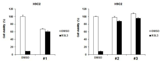 H9C2세포에서 ferroptosis를 유도할 수 있는 RSL3와 새롭게 스크리닝 되어진 inhibitor들을 같이 처리 하였을 때 세포의 생존력이 증가되는 것을 확인