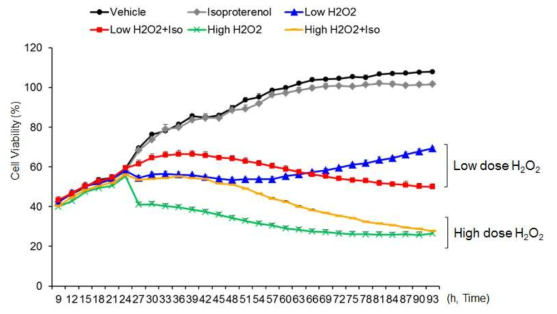 과산화수소와 isoproterenol이 시간의존적으로 심근세포의 사멸에 미치는 영향에 대한 분자생물학 실험결과(실시간 세포 이미징 시스템인 IncuCyte ZOOM을 활용한 본 세부과제 연구팀의 자체실험결과임). 낮은 농도의 과산화수소를 처리한 경우, 세포의 사멸이 시간에 따라 달라지는 것을 확인할 수 있음