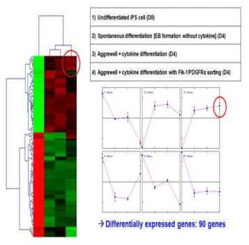 역분화 줄기세포를 이용하여 분화 촉진 인자를 처리한 후 microarray 분석