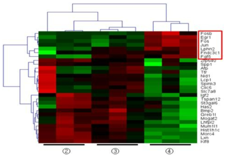 역분화 줄기세포를 이용하여 분화 촉진 인자를 처리한 후 microarray 분석