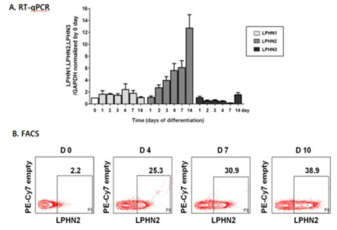 Time point에 따른 유전자 발현량 확인을 위한 RT-qPCR 및 유세포 분석 (FACS)