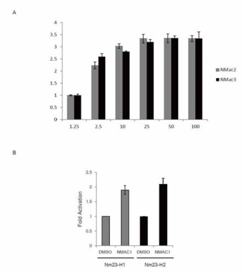 NDPK activator NMac의 stereoisomer의 NDPK activation 효과