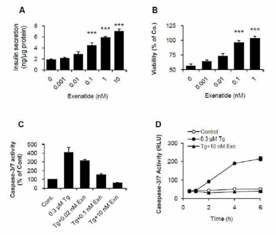 농도에 따른 exenatide에 의한 인슐린분비 (A), 생존률의 증가 (B), Caspase 활성 (C/D)