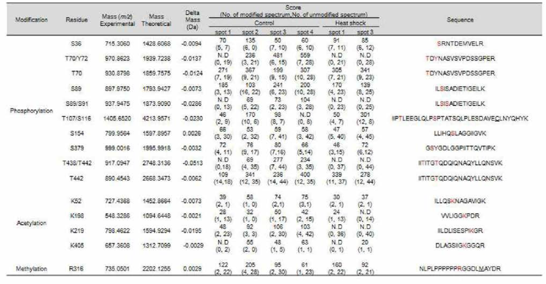 hnRNP K 의 인산화, 아세틸레이션, 메틸레이션. N.D ; modified peptides were not detected, amino acids in red; modified residues, C; Carbamidomethylation, M; Oxidation