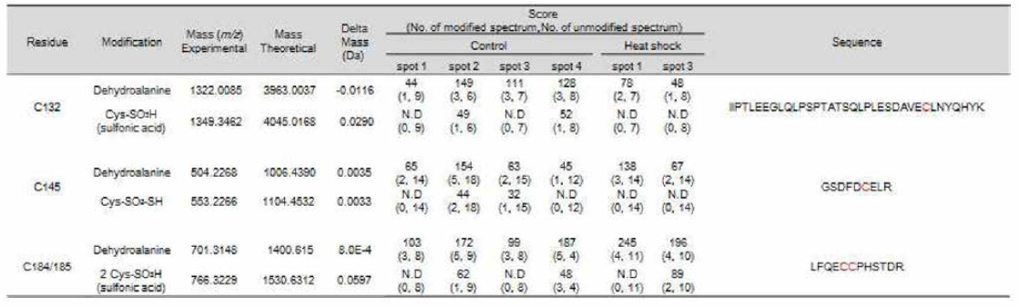 hnRNP K의 시스테인 잔기의 PTM. N.D ; modified peptides were not detected, amino acids in red; modified residues