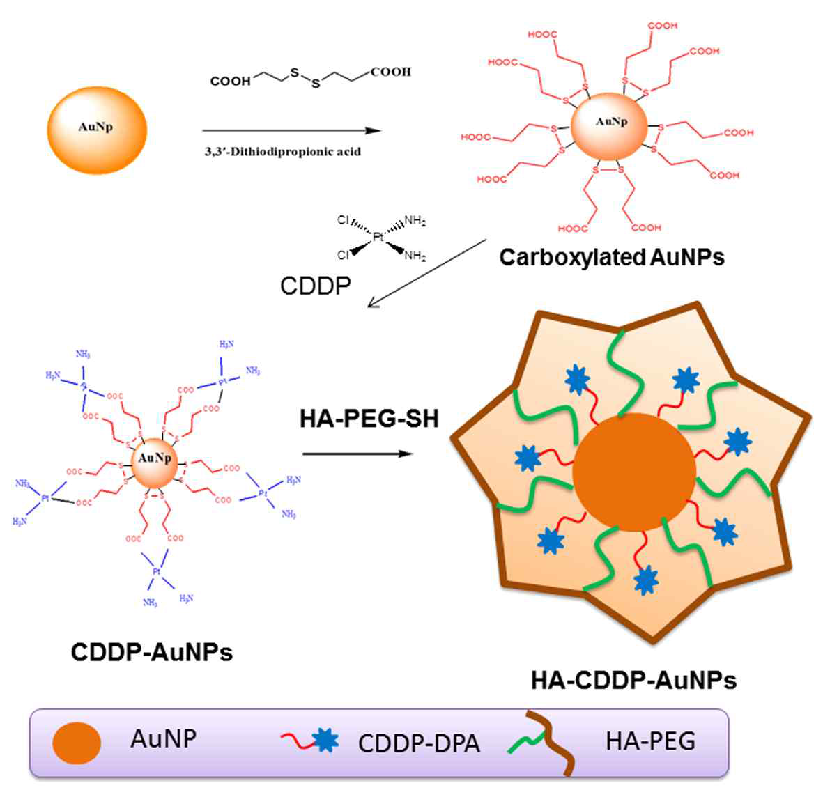 Preparation scheme of HA-CisPt-AuNp. AuNp: Gold nanoparticle; CisPt: cisplatin or cis-diamminedichloroplatinum (II); DPA: 3,3’-Dithiodipropionic acid; HA: hyaluronic acid; and PEG: polyethylene glycol