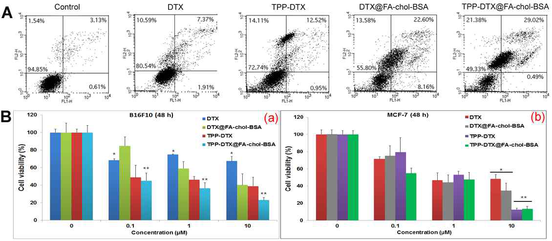 (A) Cell apoptosis pathway. Flow cytometry profile of Annexin V-fluorescein isothiocyanate (FITC)/propidium iodide (PI)-stained MCF7 cells treated with medium (control), free docetaxel (DTX), 4-carboxybutyl triphenylphosphonium (TPP)- DTX, DTX-loaded folate-cholesteryl albumin (FA-chol-BSA) nanoparticles (DTX@FA-chol-BSA NPs), and TPP-DTX@FA-chol-BSANPs were analyzed 12 h after incubation. (B) Invitro cytotoxicity. (a) B16F10 and (b) MCF-7 cells treated with DTX, TPP-DTX in dimethylsulfoxide (DMSO), or DTX or TPP-DTX@FA-chol-BSANPs. Cellviability was analyzed after 48-h incubations with 0.1, 1, and 10 μM of these formulations. Data are mean ± standard deviation (SD, n = 4). Significant changes in cytotoxicity of TPP-DTX@FA-chol-BSA NPs are marked with ** p < 0.05 compared with * that of DTX group