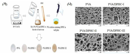 (가) 3D Type 하이드로겔 제작 과정 및 (나) 주사전자현미경을 이용한 공극사이즈