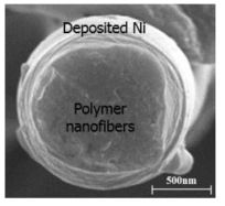 SU-08 2025 nanofibers 위 Ni 무전해 도금 5분 진행한 샘플의 FE-SEM 이미지