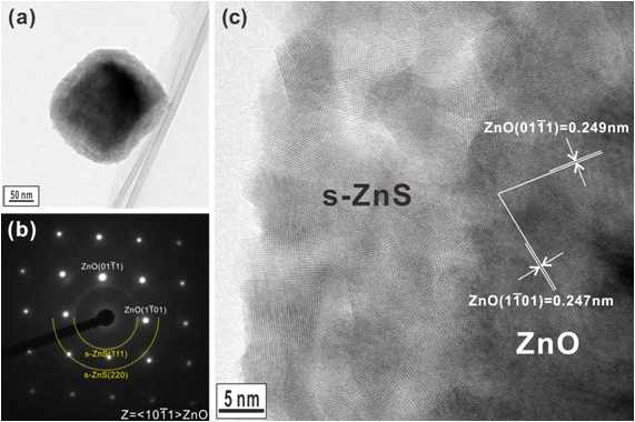 솔루션 방법으로 합성된 ZnO-ZnS 코어-쉘 나노입자의 투과전자현미경 상