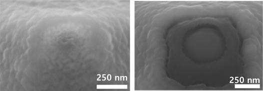 (a) RIE 후 첨단에 10nm 높이로 드러난 크롬 박막의 SEM 이미지, (b) 크롬 식각 후 첨단의 SEM 이미지