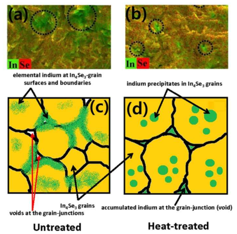 EDS elemental mapping of (a)untreated and (b)heat-treated sample. Schematic of microstructural morphology of (c)untreated and (d)heat-treated sample